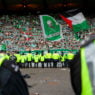 Celtic Fans Collective boycott  forces sleepy Wilson into action